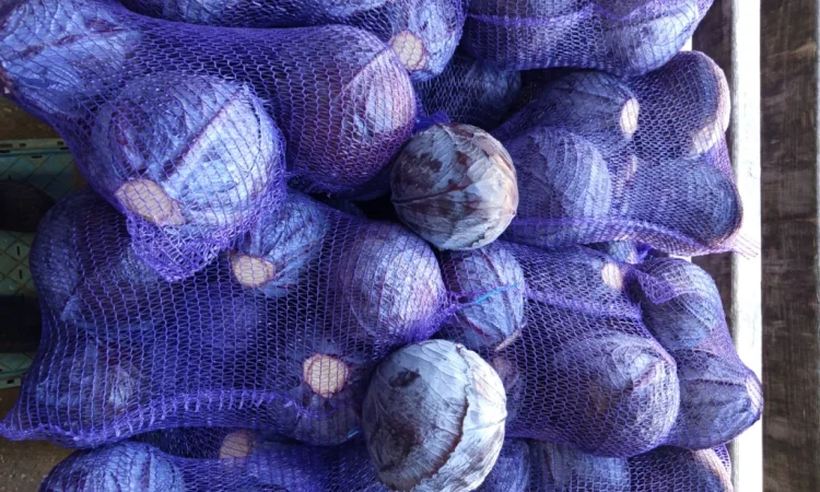 Капуста белая и красная на продажу - фото № 2