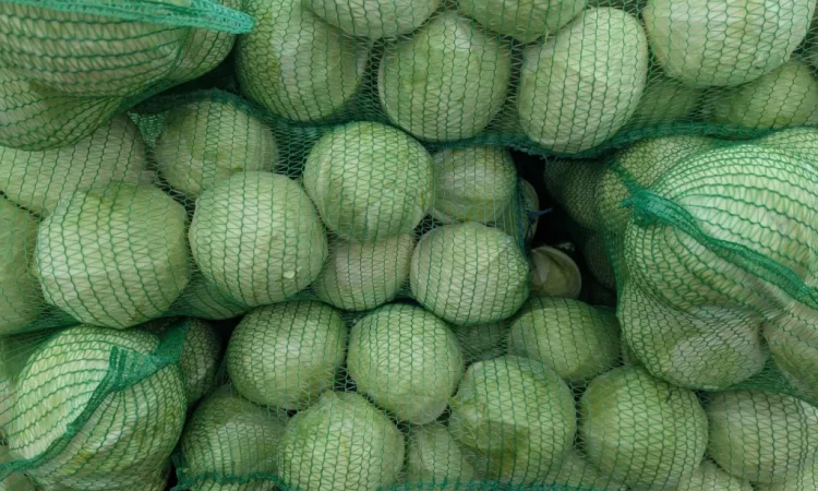 Капуста на продаж - фото № 1