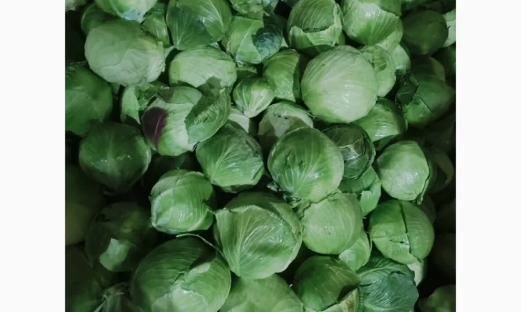 Капуста на продаж - фото № 3