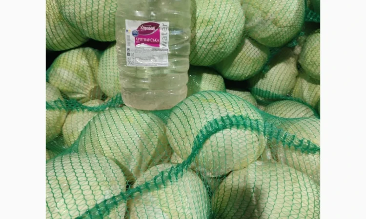 Капуста на продаж - фото № 4