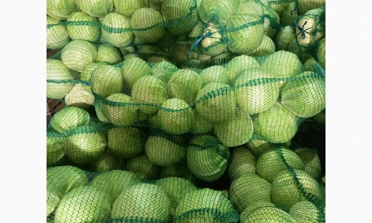 Капуста сорт Сторідор на продаж - фото № 1