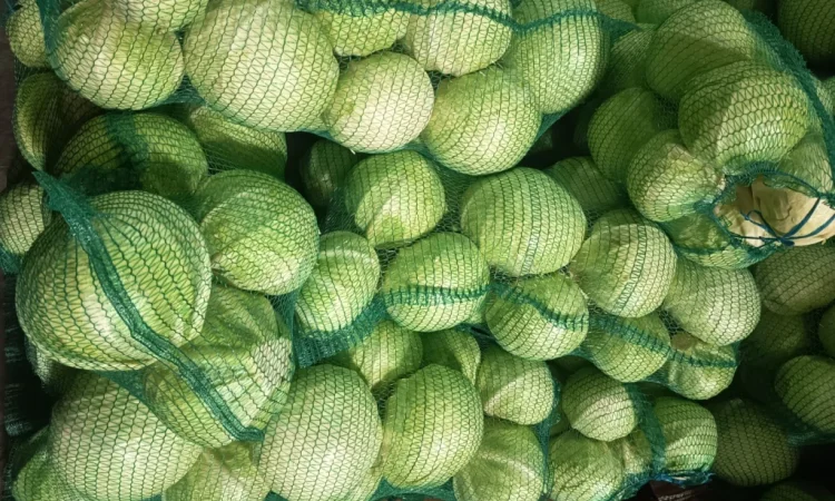 Капуста сорт Сторідор на продаж - фото № 2