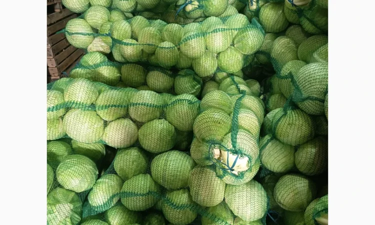 Капуста сорт Сторідор на продаж - фото № 3