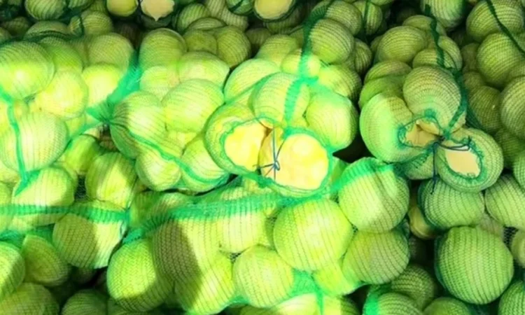 Продаж капусти Агресор - фото № 1