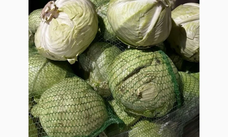 Капуста Агресор от поставщика - фото № 5