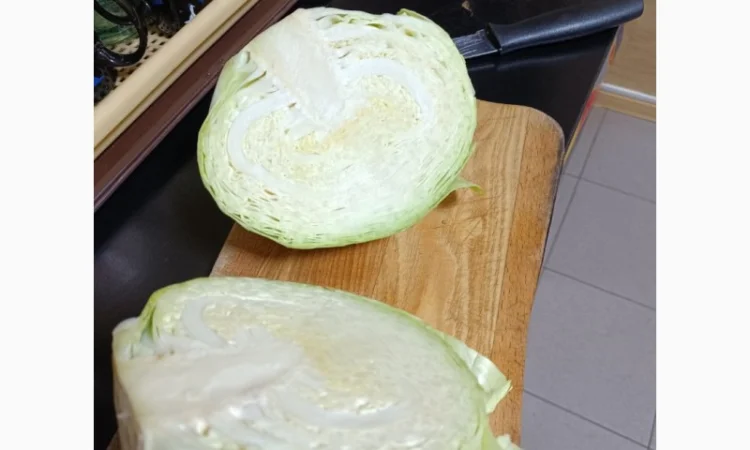 Капуста Агресор от поставщика - фото № 1