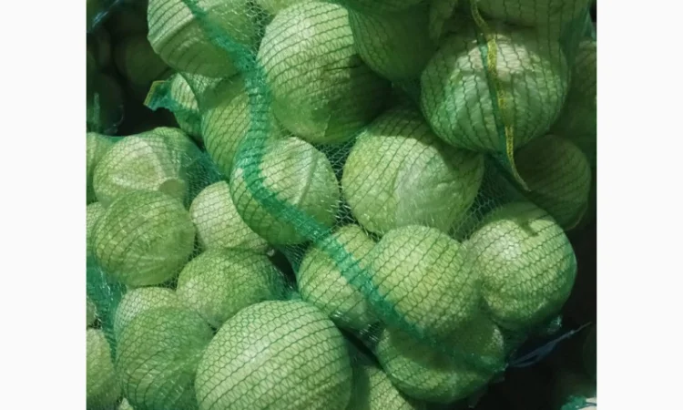 Капуста білокачанна на продаж - фото № 1