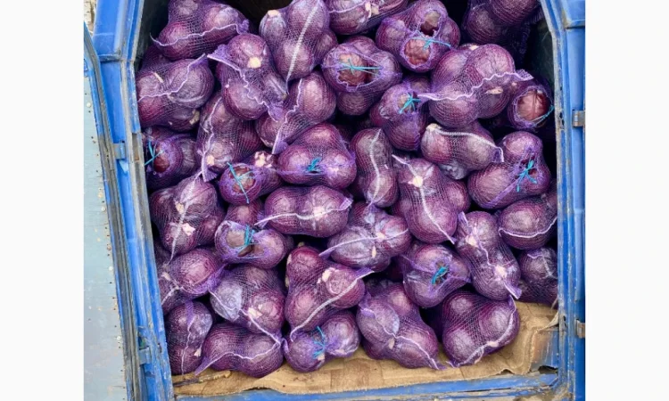 Продаж червоноголової капусти - фото № 3