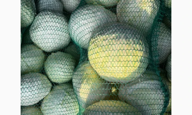 Капуста сорту Анкома на продаж - фото № 3