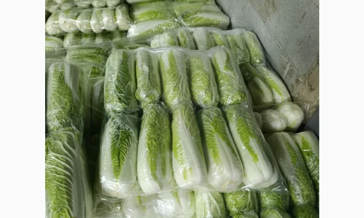 Пекінська капуста на продаж - фото № 1