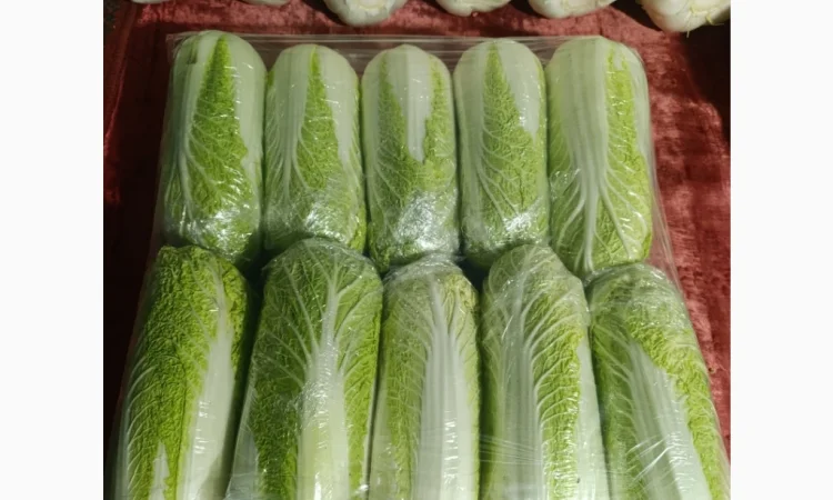 Пекінська капуста на продаж - фото № 2