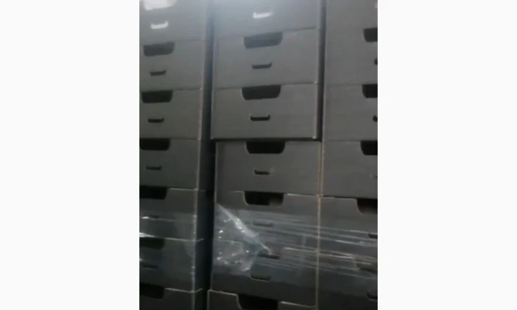 Продаж пекінської капусти оптом - фото № 3