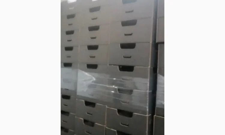 Продаж пекінської капусти оптом - фото № 5