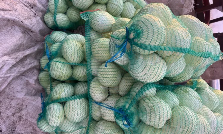 Капуста хорошего качества - фото № 1