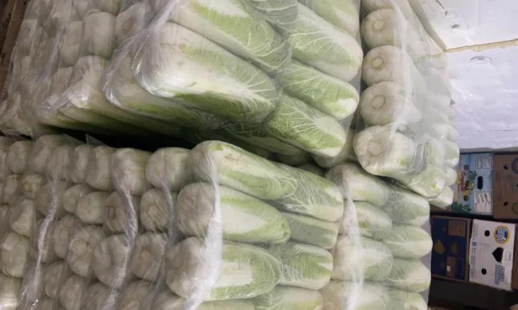 Продаю пекінську капусту оптом - фото № 3