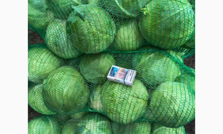 Капуста Агресор гуртом по 5 грн/кг - фото № 2