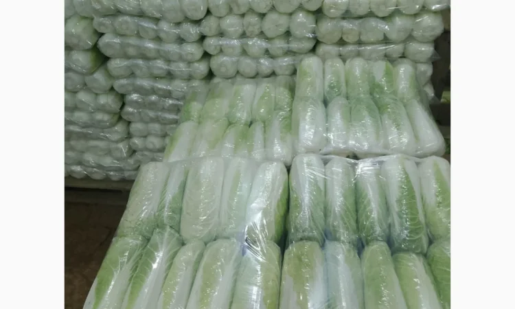 Продаю Пекінську капусту Бронко - фото № 2