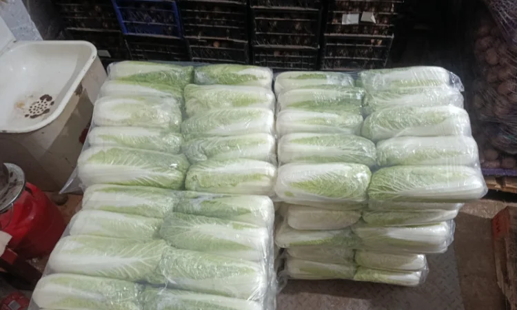 Продаю Пекінську капусту в с. Перебиківці - фото № 5