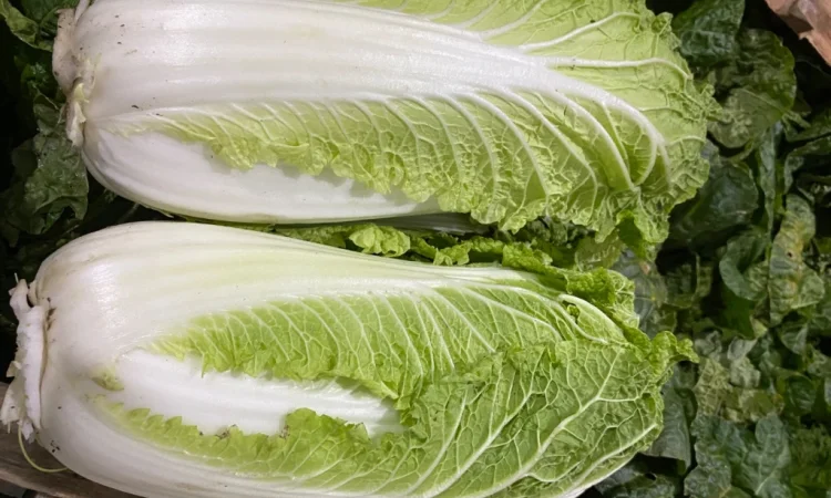 Пекінська капуста оптом - фото № 2