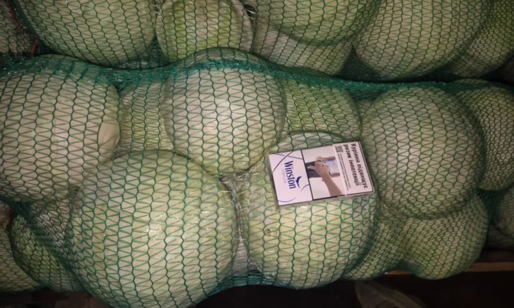 Капуста Саксесор, ідеальна якість - фото № 2