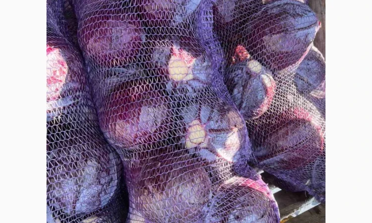 Капуста к/к от украинского фермерского хозяйства - фото № 1