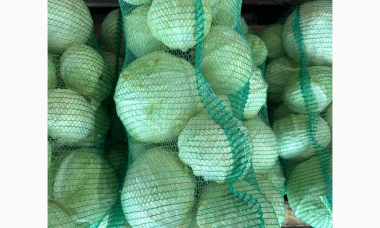 Капуста б/к оптом от фермеров - фото № 1