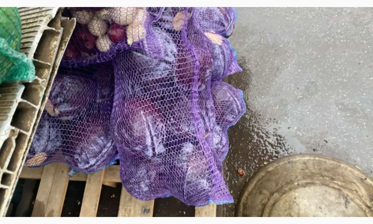 Капуста червоно качану на продажу - фото № 3