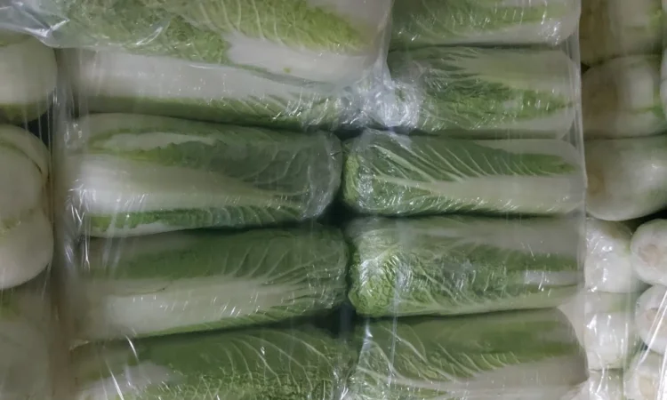 Пекинська капуста на продаж - фото № 2