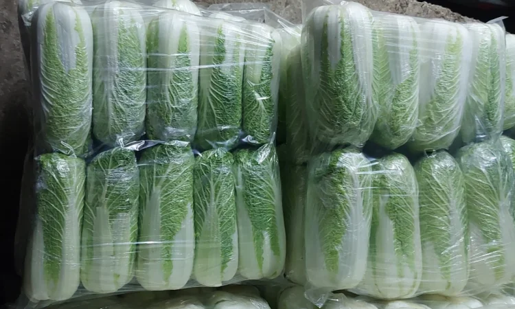 Пекинська капуста на продаж - фото № 4