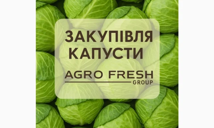 Закупка капусты от ТОВ «Агрофреш Груп» - фото № 1