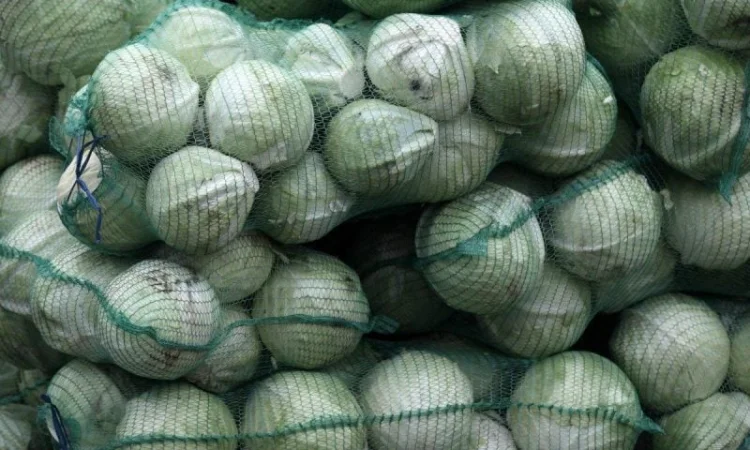 Продаж капусти білокачанної 2 сорту оптом - фото № 1