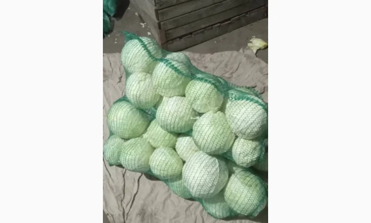 Продаж капусти - фото № 1