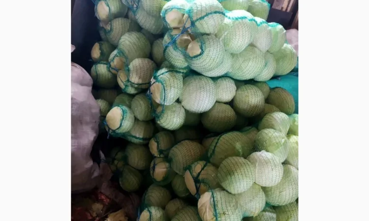 Продаю белокачанную капусту - фото № 1