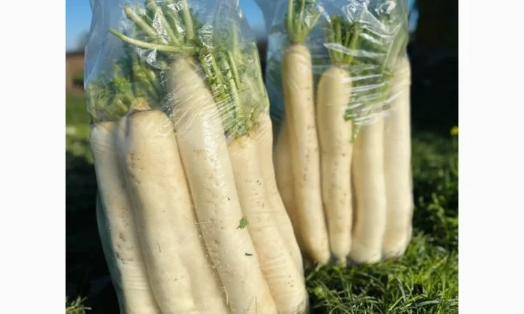 Продажа зимней капусты из Закарпаття - фото № 6