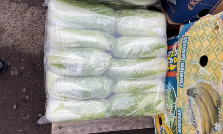 Продается пекінська капуста хорошей якості - фото № 2