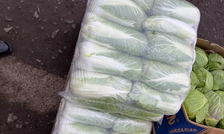 Продается пекінська капуста хорошей якості - фото № 3