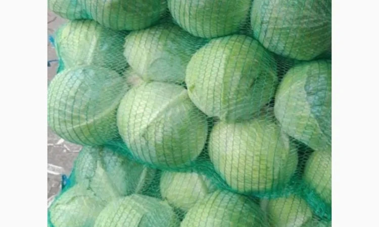Капуста на продажу - фото № 3
