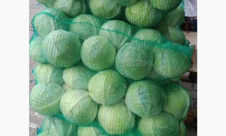 Капуста на продажу - фото № 4