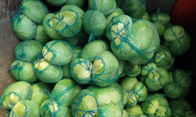 Капуста сорту Агрессор на продаж - фото № 7