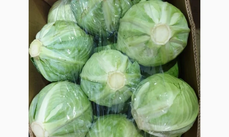 Капуста зимня високої якості - фото № 4