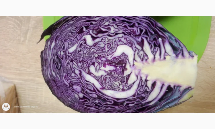 Капуста краснокочанная на продажу - фото № 2