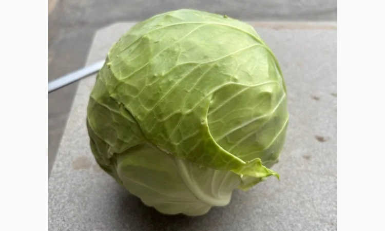 Молодая капуста высшего качества - фото № 3