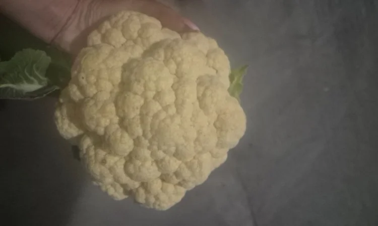 Продам капусту цветную - фото № 1