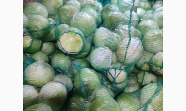 Капуста білокачанна для продажу - фото № 2