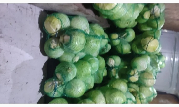 Капуста білокачанна для продажу - фото № 3