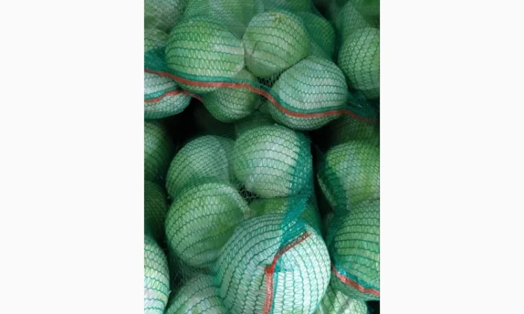 Капуста білокачанна для продажу - фото № 4