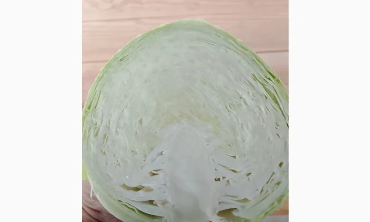 Капуста тереодор на продаж - фото № 1