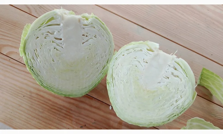 Капуста тереодор на продаж - фото № 2