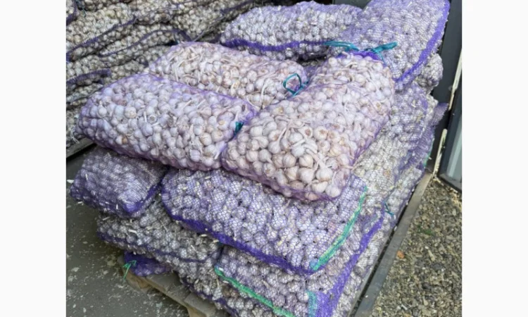 Товарный чеснок оптом - фото № 1