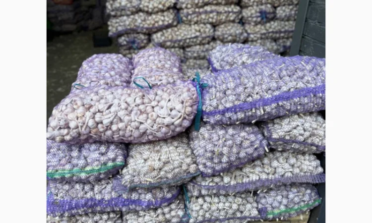 Чеснок фракция 3-4+ на продажу - фото № 1